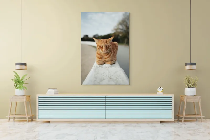 Tablou Canvas, "Pisica adormită pe balustradă albă", Pisică, Portocalie, Somnoroasă, Relaxată, Blândă, Odihnitoare, Zâmbitoare, Liniștitoare, Drăgălașă, Calmă, 100 x 150 cm – poza 4