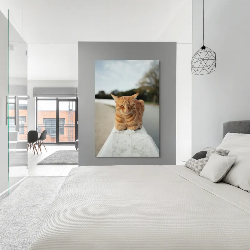 Tablou Canvas, "Pisica adormită pe balustradă albă", Pisică, Portocalie, Somnoroasă, Relaxată, Blândă, Odihnitoare, Zâmbitoare, Liniștitoare, Drăgălașă, Calmă, 100 x 150 cm – poza 5