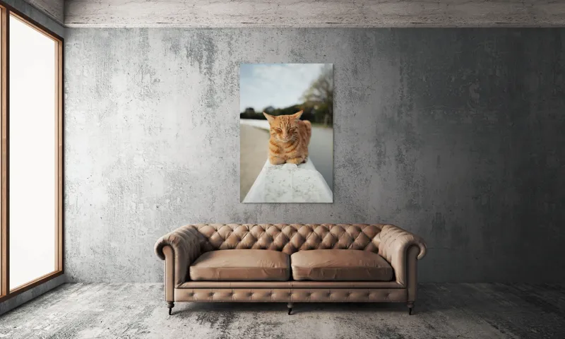 Tablou Canvas, "Pisica adormită pe balustradă albă", Pisică, Portocalie, Somnoroasă, Relaxată, Blândă, Odihnitoare, Zâmbitoare, Liniștitoare, Drăgălașă, Calmă, 100 x 150 cm – poza 6