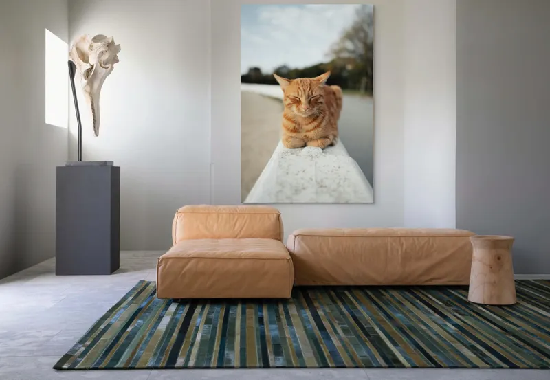 Tablou Canvas, "Pisica adormită pe balustradă albă", Pisică, Portocalie, Somnoroasă, Relaxată, Blândă, Odihnitoare, Zâmbitoare, Liniștitoare, Drăgălașă, Calmă, 100 x 150 cm – poza 7