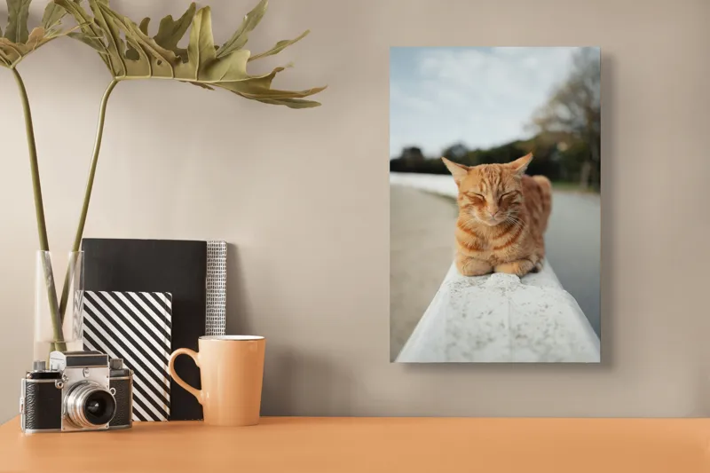 Tablou Canvas, "Pisica adormită pe balustradă albă", Pisică, Portocalie, Somnoroasă, Relaxată, Blândă, Odihnitoare, Zâmbitoare, Liniștitoare, Drăgălașă, Calmă, 26 x 39 cm – poza 3