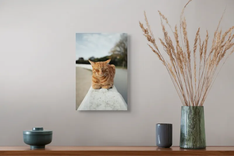 Tablou Canvas, "Pisica adormită pe balustradă albă", Pisică, Portocalie, Somnoroasă, Relaxată, Blândă, Odihnitoare, Zâmbitoare, Liniștitoare, Drăgălașă, Calmă, 26 x 39 cm – poza 5
