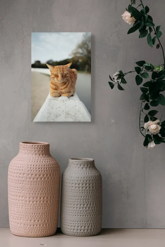 Tablou Canvas, "Pisica adormită pe balustradă albă", Pisică, Portocalie, Somnoroasă, Relaxată, Blândă, Odihnitoare, Zâmbitoare, Liniștitoare, Drăgălașă, Calmă, 26 x 39 cm – poza 6