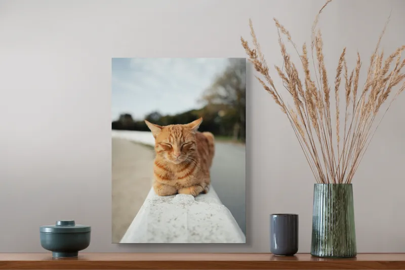 Tablou Canvas, "Pisica adormită pe balustradă albă", Pisică, Portocalie, Somnoroasă, Relaxată, Blândă, Odihnitoare, Zâmbitoare, Liniștitoare, Drăgălașă, Calmă, 39 x 54 cm – poza 3