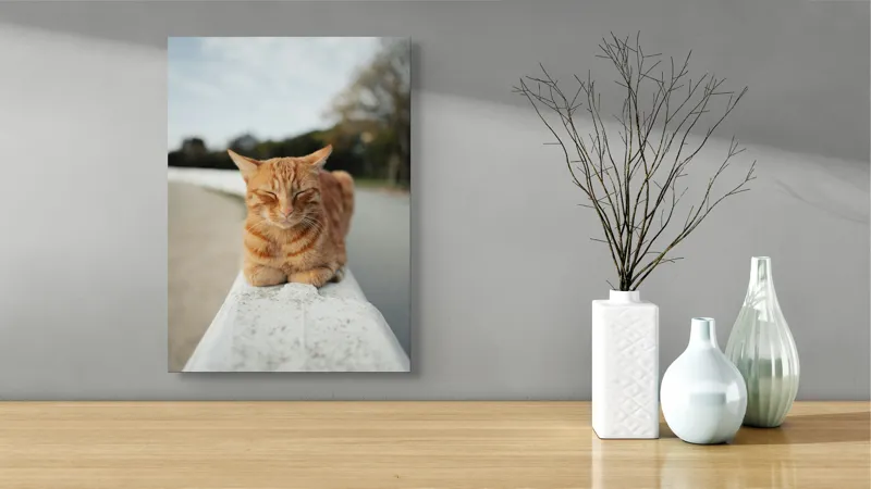 Tablou Canvas, "Pisica adormită pe balustradă albă", Pisică, Portocalie, Somnoroasă, Relaxată, Blândă, Odihnitoare, Zâmbitoare, Liniștitoare, Drăgălașă, Calmă, 39 x 54 cm – poza 4