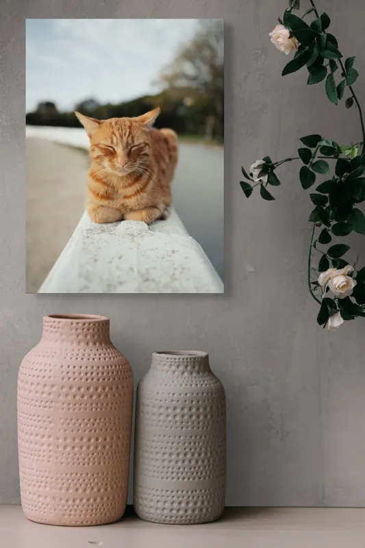 Tablou Canvas, "Pisica adormită pe balustradă albă", Pisică, Portocalie, Somnoroasă, Relaxată, Blândă, Odihnitoare, Zâmbitoare, Liniștitoare, Drăgălașă, Calmă, 39 x 54 cm – poza 6
