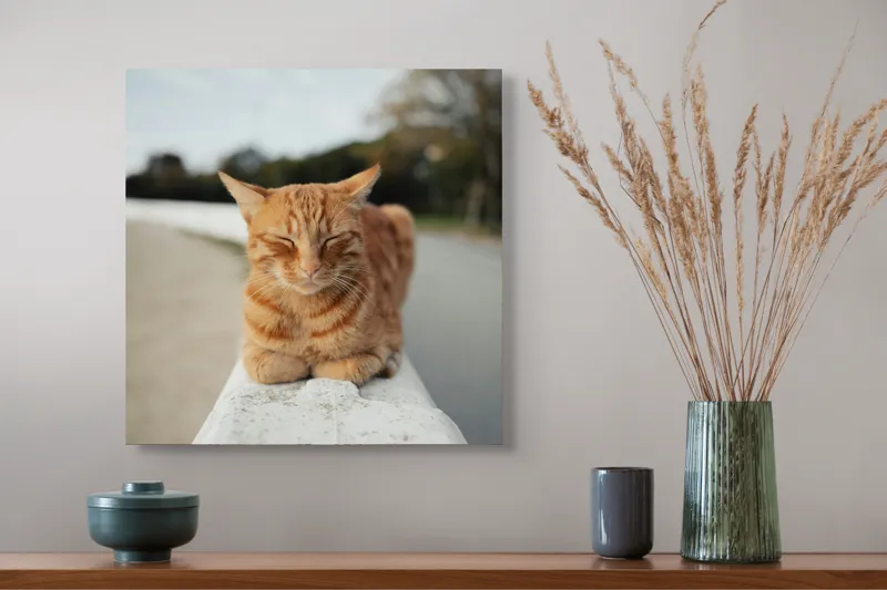 Tablou Canvas, "Pisica adormită pe balustradă albă", Pisică, Portocalie, Somnoroasă, Relaxată, Blândă, Odihnitoare, Zâmbitoare, Liniștitoare, Drăgălașă, Calmă, 50 x 50 cm – poza 4