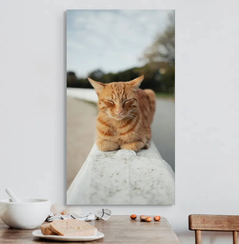 Tablou Canvas, "Pisica adormită pe balustradă albă", Pisică, Portocalie, Somnoroasă, Relaxată, Blândă, Odihnitoare, Zâmbitoare, Liniștitoare, Drăgălașă, Calmă, 50 x 90 cm – poza 3