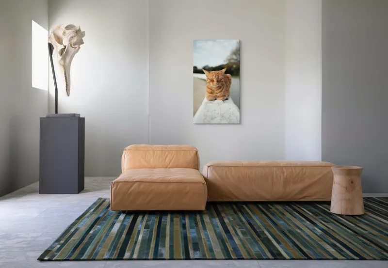 Tablou Canvas, "Pisica adormită pe balustradă albă", Pisică, Portocalie, Somnoroasă, Relaxată, Blândă, Odihnitoare, Zâmbitoare, Liniștitoare, Drăgălașă, Calmă, 50 x 90 cm – poza 5