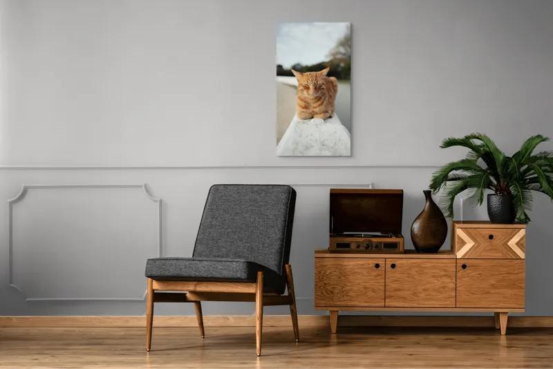 Tablou Canvas, "Pisica adormită pe balustradă albă", Pisică, Portocalie, Somnoroasă, Relaxată, Blândă, Odihnitoare, Zâmbitoare, Liniștitoare, Drăgălașă, Calmă, 50 x 90 cm – poza 8