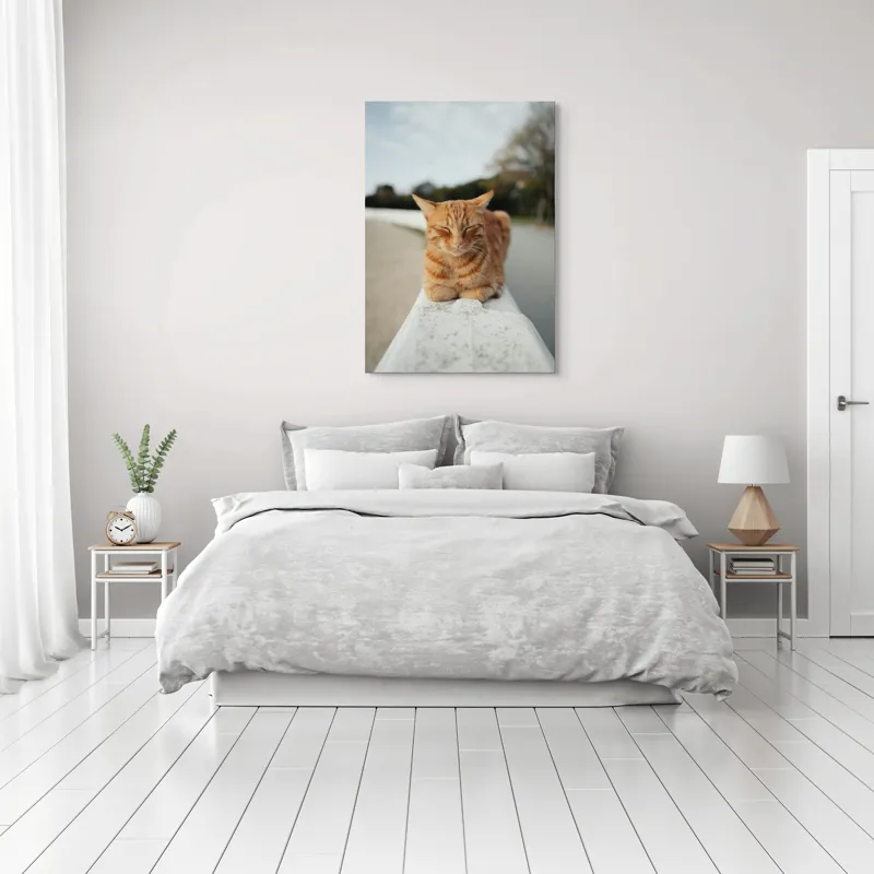 Tablou Canvas, "Pisica adormită pe balustradă albă", Pisică, Portocalie, Somnoroasă, Relaxată, Blândă, Odihnitoare, Zâmbitoare, Liniștitoare, Drăgălașă, Calmă, 70 x 100 cm – poza 3