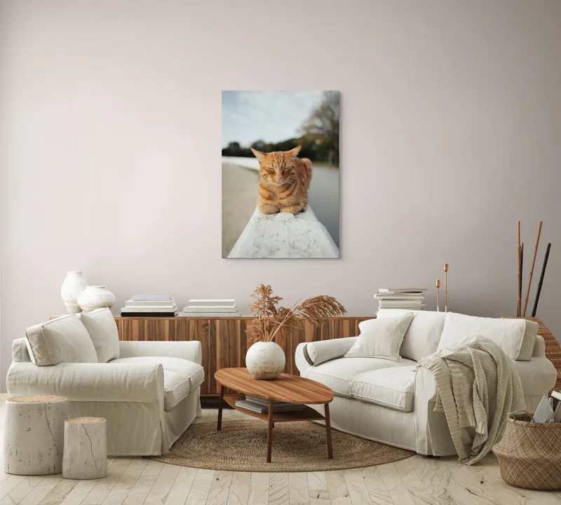 Tablou Canvas, "Pisica adormită pe balustradă albă", Pisică, Portocalie, Somnoroasă, Relaxată, Blândă, Odihnitoare, Zâmbitoare, Liniștitoare, Drăgălașă, Calmă, 70 x 100 cm – poza 4
