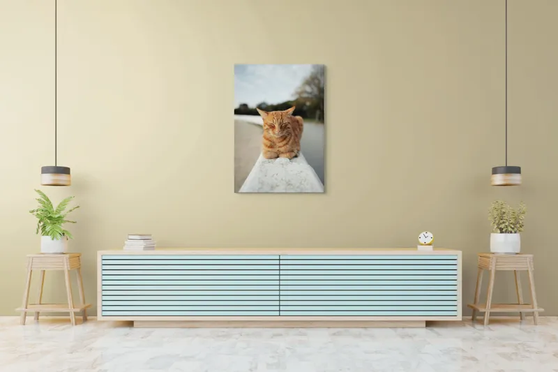 Tablou Canvas, "Pisica adormită pe balustradă albă", Pisică, Portocalie, Somnoroasă, Relaxată, Blândă, Odihnitoare, Zâmbitoare, Liniștitoare, Drăgălașă, Calmă, 70 x 100 cm – poza 5