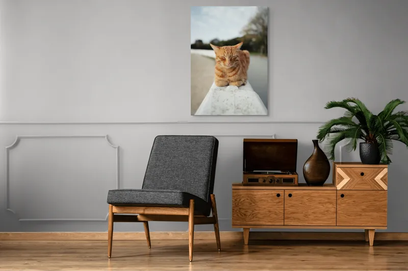 Tablou Canvas, "Pisica adormită pe balustradă albă", Pisică, Portocalie, Somnoroasă, Relaxată, Blândă, Odihnitoare, Zâmbitoare, Liniștitoare, Drăgălașă, Calmă, 70 x 100 cm – poza 6
