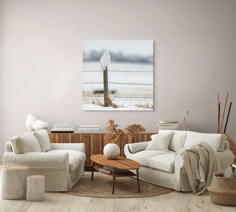 Tablou Canvas, "Bufniță albă pe stâlp înghețat", Bufniță, Zăpadă, Gard, Iarnă, Peisaj, Cer, Natură, Timp Friguros, Post, Privire., 100 x 100 cm – poza 3