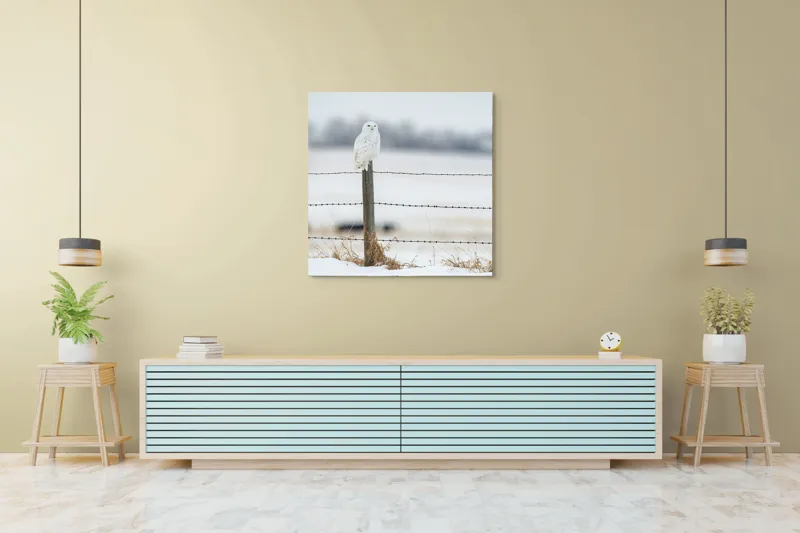 Tablou Canvas, "Bufniță albă pe stâlp înghețat", Bufniță, Zăpadă, Gard, Iarnă, Peisaj, Cer, Natură, Timp Friguros, Post, Privire., 100 x 100 cm – poza 5
