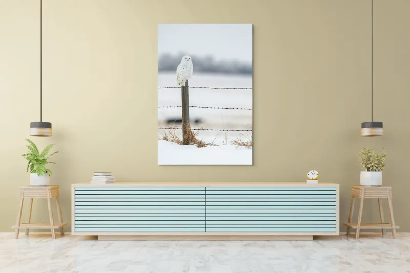 Tablou Canvas, "Bufniță albă pe stâlp înghețat", Bufniță, Zăpadă, Gard, Iarnă, Peisaj, Cer, Natură, Timp Friguros, Post, Privire., 100 x 150 cm – poza 4