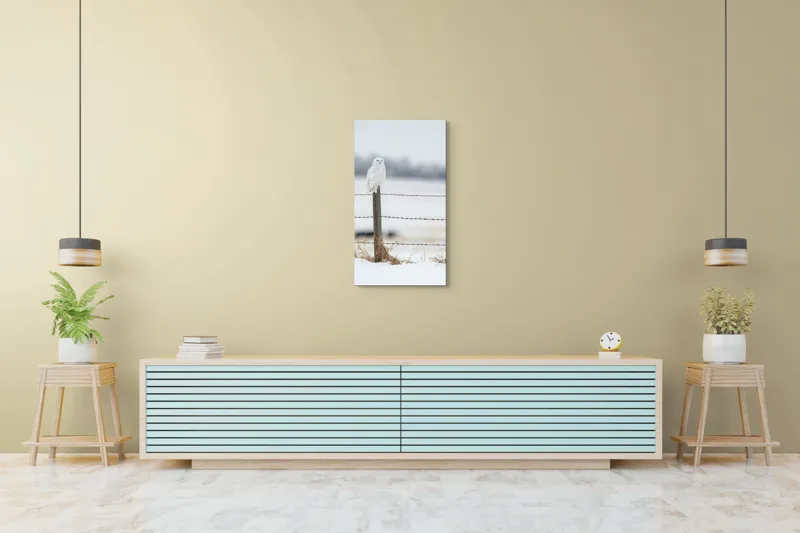 Tablou Canvas, "Bufniță albă pe stâlp înghețat", Bufniță, Zăpadă, Gard, Iarnă, Peisaj, Cer, Natură, Timp Friguros, Post, Privire., 50 x 90 cm – poza 6