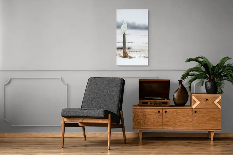 Tablou Canvas, "Bufniță albă pe stâlp înghețat", Bufniță, Zăpadă, Gard, Iarnă, Peisaj, Cer, Natură, Timp Friguros, Post, Privire., 50 x 90 cm – poza 8