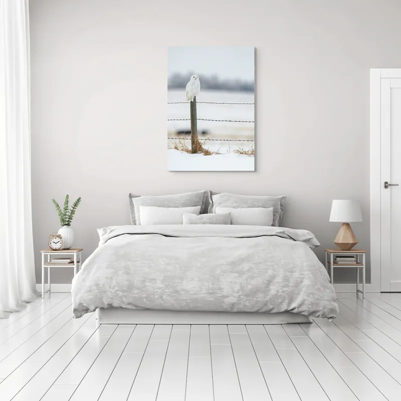 Tablou Canvas, "Bufniță albă pe stâlp înghețat", Bufniță, Zăpadă, Gard, Iarnă, Peisaj, Cer, Natură, Timp Friguros, Post, Privire., 70 x 100 cm – poza 3