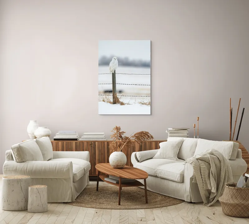Tablou Canvas, "Bufniță albă pe stâlp înghețat", Bufniță, Zăpadă, Gard, Iarnă, Peisaj, Cer, Natură, Timp Friguros, Post, Privire., 70 x 100 cm – poza 4