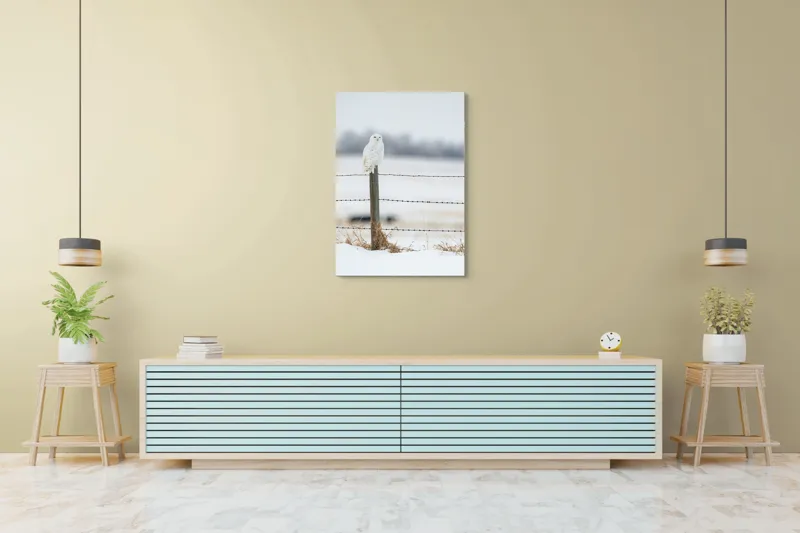 Tablou Canvas, "Bufniță albă pe stâlp înghețat", Bufniță, Zăpadă, Gard, Iarnă, Peisaj, Cer, Natură, Timp Friguros, Post, Privire., 70 x 100 cm – poza 5
