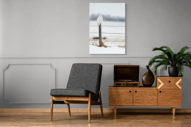 Tablou Canvas, "Bufniță albă pe stâlp înghețat", Bufniță, Zăpadă, Gard, Iarnă, Peisaj, Cer, Natură, Timp Friguros, Post, Privire., 70 x 100 cm – poza 6