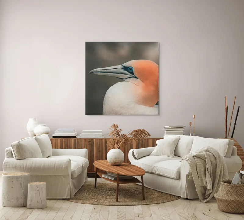 Tablou Canvas, "Pasărea cu cap portocaliu luminos", Păsare, Albastru, Cioc, Pene, Ochi, Portocaliu, Profil, 100 x 100 cm – poza 3