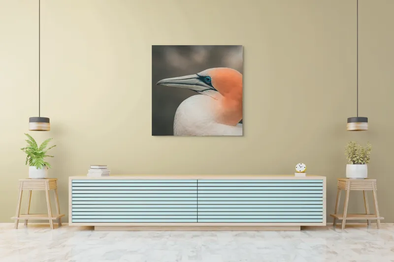 Tablou Canvas, "Pasărea cu cap portocaliu luminos", Păsare, Albastru, Cioc, Pene, Ochi, Portocaliu, Profil, 100 x 100 cm – poza 5
