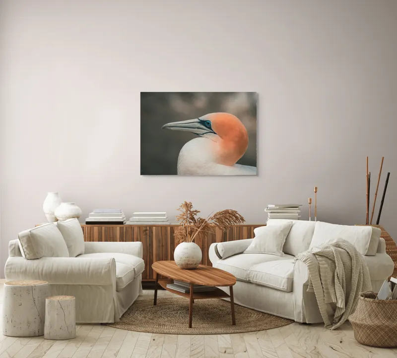 Tablou Canvas, "Pasărea cu cap portocaliu luminos", Păsare, Albastru, Cioc, Pene, Ochi, Portocaliu, Profil, 100 x 70 cm – poza 3