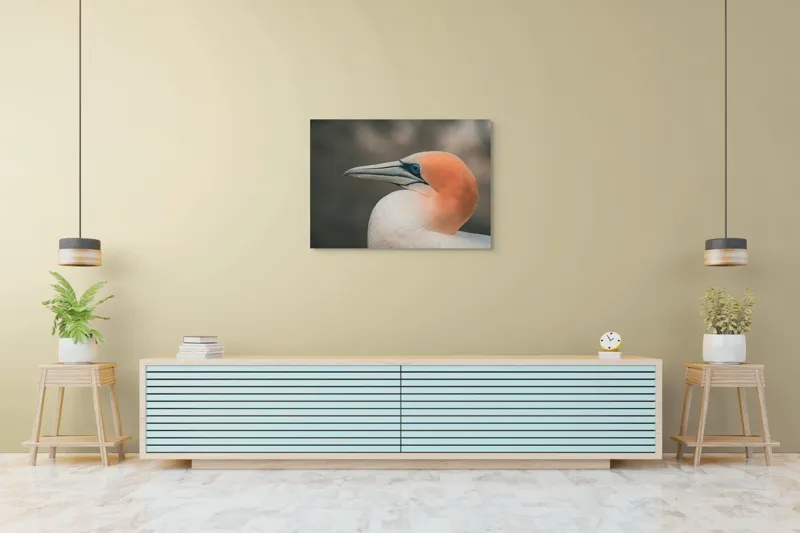 Tablou Canvas, "Pasărea cu cap portocaliu luminos", Păsare, Albastru, Cioc, Pene, Ochi, Portocaliu, Profil, 100 x 70 cm – poza 4