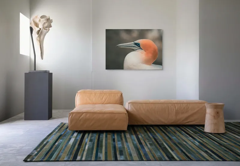 Tablou Canvas, "Pasărea cu cap portocaliu luminos", Păsare, Albastru, Cioc, Pene, Ochi, Portocaliu, Profil, 100 x 70 cm – poza 7