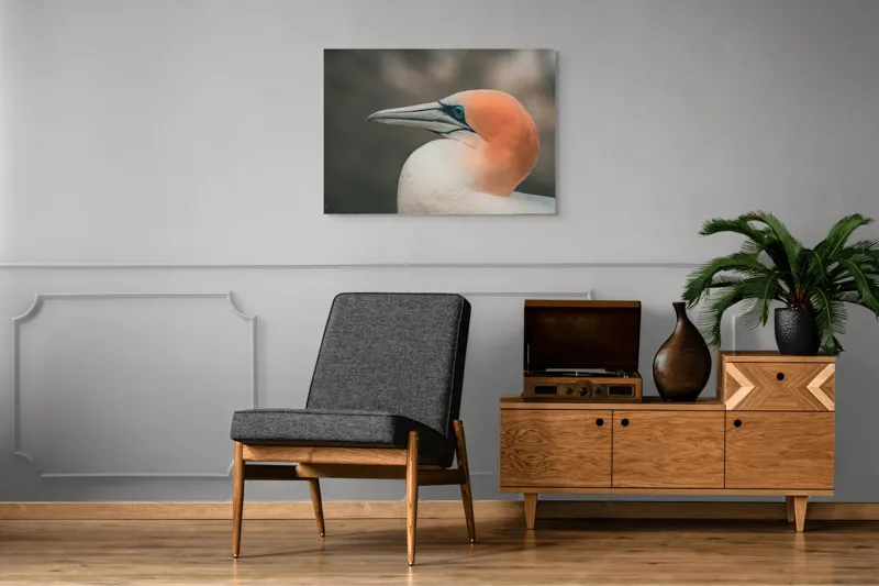 Tablou Canvas, "Pasărea cu cap portocaliu luminos", Păsare, Albastru, Cioc, Pene, Ochi, Portocaliu, Profil, 100 x 70 cm – poza 8