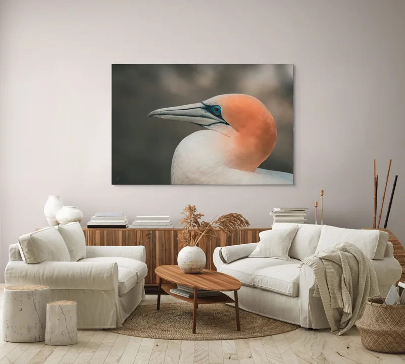 Tablou Canvas, "Pasărea cu cap portocaliu luminos", Păsare, Albastru, Cioc, Pene, Ochi, Portocaliu, Profil, 150 x 100 cm – poza 3