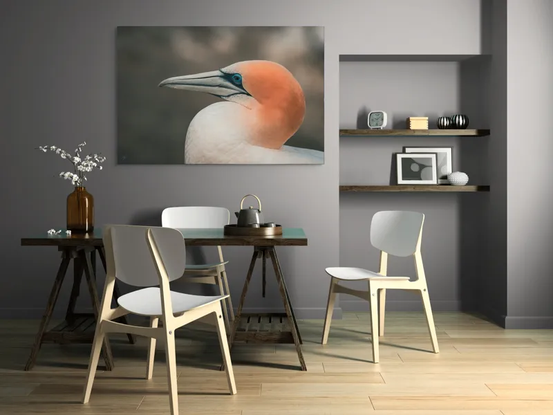 Tablou Canvas, "Pasărea cu cap portocaliu luminos", Păsare, Albastru, Cioc, Pene, Ochi, Portocaliu, Profil, 150 x 100 cm – poza 5