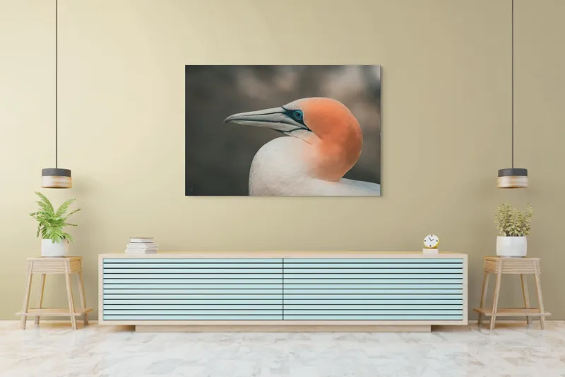 Tablou Canvas, "Pasărea cu cap portocaliu luminos", Păsare, Albastru, Cioc, Pene, Ochi, Portocaliu, Profil, 150 x 100 cm – poza 6