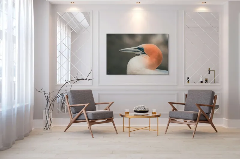 Tablou Canvas, "Pasărea cu cap portocaliu luminos", Păsare, Albastru, Cioc, Pene, Ochi, Portocaliu, Profil, 150 x 100 cm – poza 7