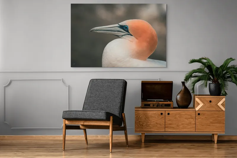 Tablou Canvas, "Pasărea cu cap portocaliu luminos", Păsare, Albastru, Cioc, Pene, Ochi, Portocaliu, Profil, 150 x 100 cm – poza 8