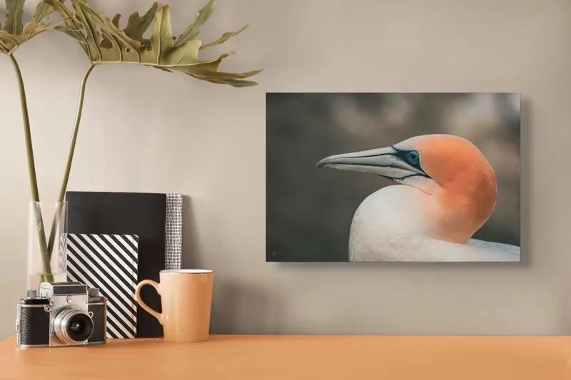 Tablou Canvas, "Pasărea cu cap portocaliu luminos", Păsare, Albastru, Cioc, Pene, Ochi, Portocaliu, Profil, 39 x 26 cm – poza 3