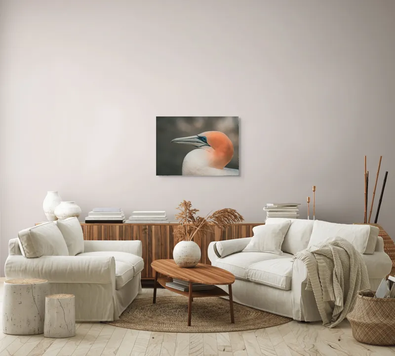 Tablou Canvas, "Pasărea cu cap portocaliu luminos", Păsare, Albastru, Cioc, Pene, Ochi, Portocaliu, Profil, 70 x 50 cm – poza 6