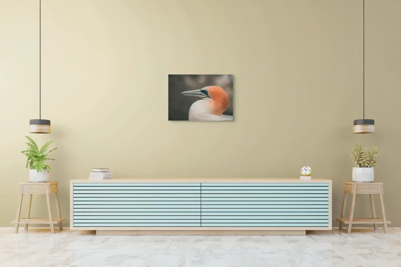 Tablou Canvas, "Pasărea cu cap portocaliu luminos", Păsare, Albastru, Cioc, Pene, Ochi, Portocaliu, Profil, 70 x 50 cm – poza 7