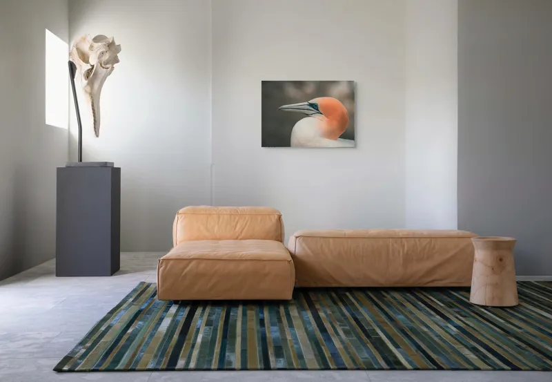 Tablou Canvas, "Pasărea cu cap portocaliu luminos", Păsare, Albastru, Cioc, Pene, Ochi, Portocaliu, Profil, 70 x 50 cm – poza 8