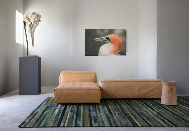 Tablou Canvas, "Pasărea cu cap portocaliu luminos", Păsare, Albastru, Cioc, Pene, Ochi, Portocaliu, Profil, 90 x 50 cm – poza 8