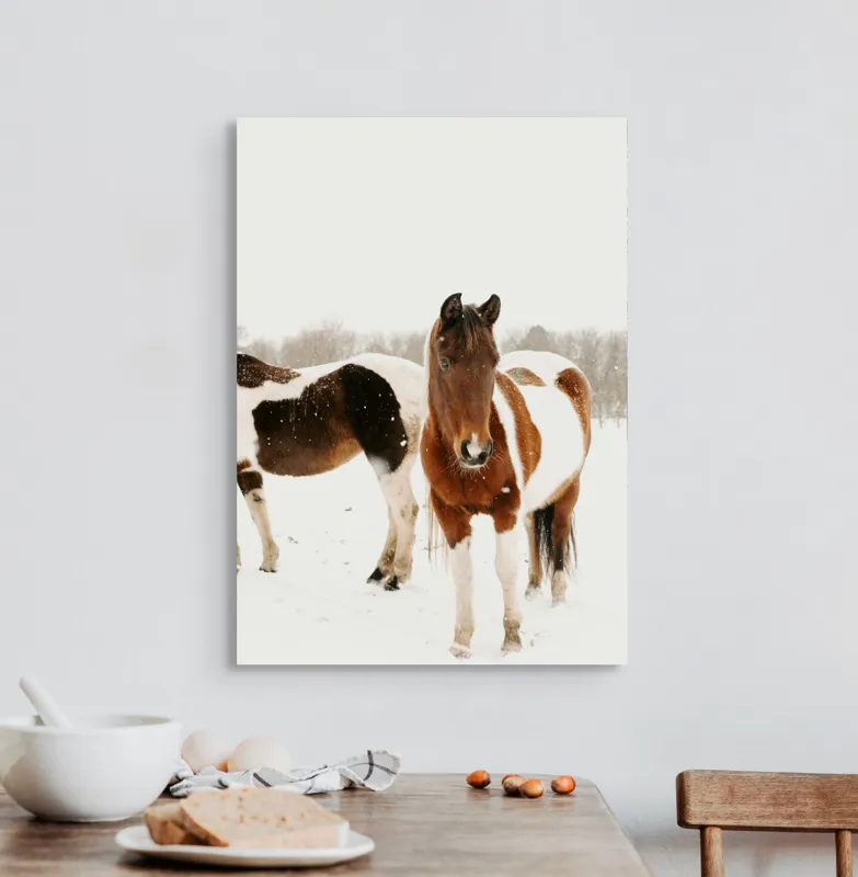 Tablou Canvas, "Cai în zăpadă pe câmp deschis", Cai, Zăpadă, Peisaj, Iarnă, Blană, Culoare, Natură, Frumusețe, 50 x 70 cm – poza 3