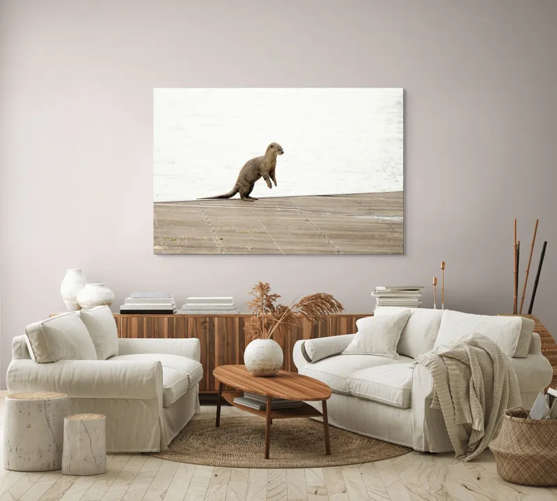 Tablou Canvas, "Vidra curioasă pe pontonul pustiu", Otter, Curious, Standing, Dock, Water, 150 x 100 cm – poza 3