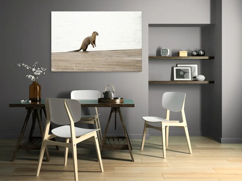 Tablou Canvas, "Vidra curioasă pe pontonul pustiu", Otter, Curious, Standing, Dock, Water, 150 x 100 cm – poza 5
