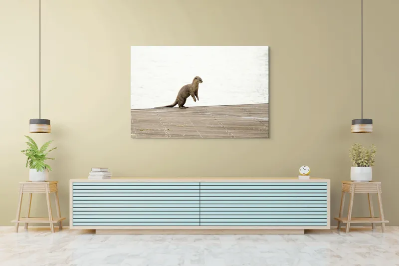 Tablou Canvas, "Vidra curioasă pe pontonul pustiu", Otter, Curious, Standing, Dock, Water, 150 x 100 cm – poza 6