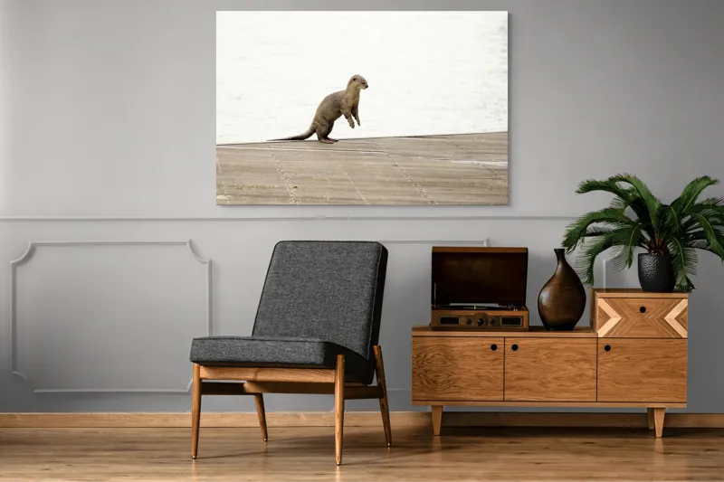 Tablou Canvas, "Vidra curioasă pe pontonul pustiu", Otter, Curious, Standing, Dock, Water, 150 x 100 cm – poza 8