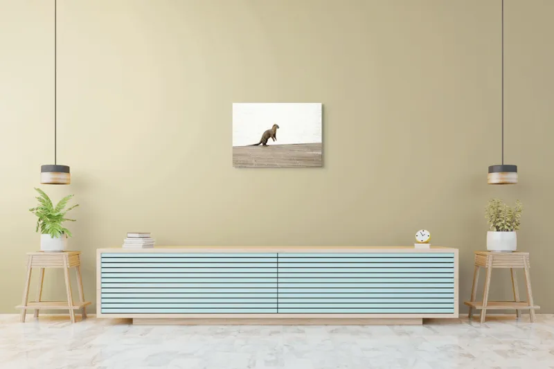 Tablou Canvas, "Vidra curioasă pe pontonul pustiu", Otter, Curious, Standing, Dock, Water, 70 x 50 cm – poza 7