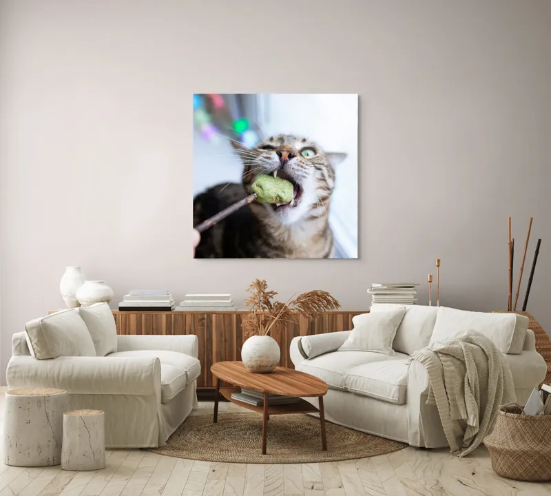 Tablou Canvas, "Pisica savurând o gustare delicioasă", Pisică, Curioasă, Pofticioasă, Delicioasă, Verde, Luminoasă, Jucăușă, Fermoar, Dinamică, Amuzantă, 100 x 100 cm – poza 3